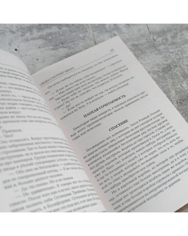 Овцы смотрят вверх