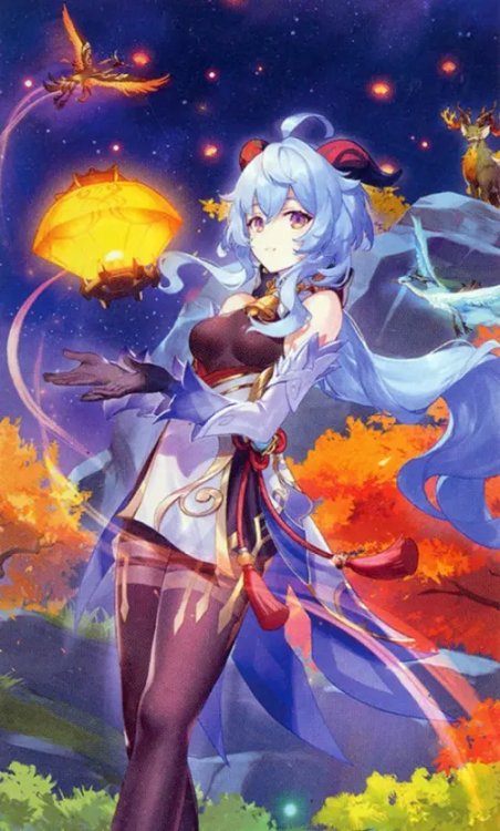 Картина по номерам Геншин. Гань Юй