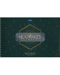 Альбом для рисования SketchBook. Hogwarts Legacy, 20 листов, черная бумага