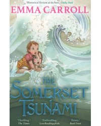 The Somerset Tsunami