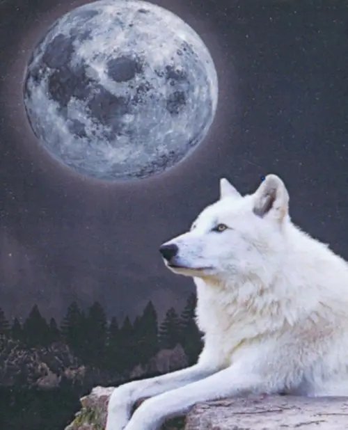 Сверкающие картины Алмазная мозаика со светящимися стразами Волк