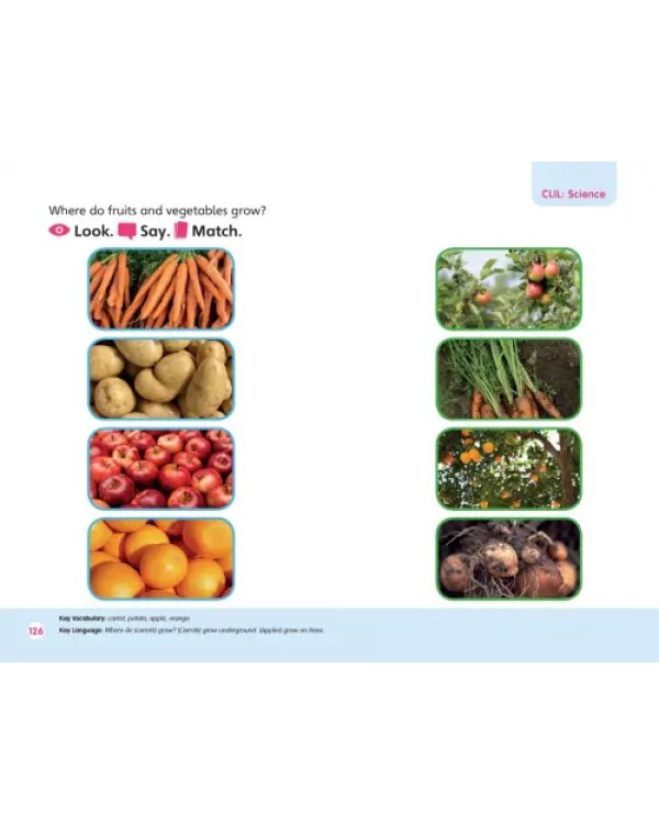Cambridge Little Steps. Level 2. Student's Book