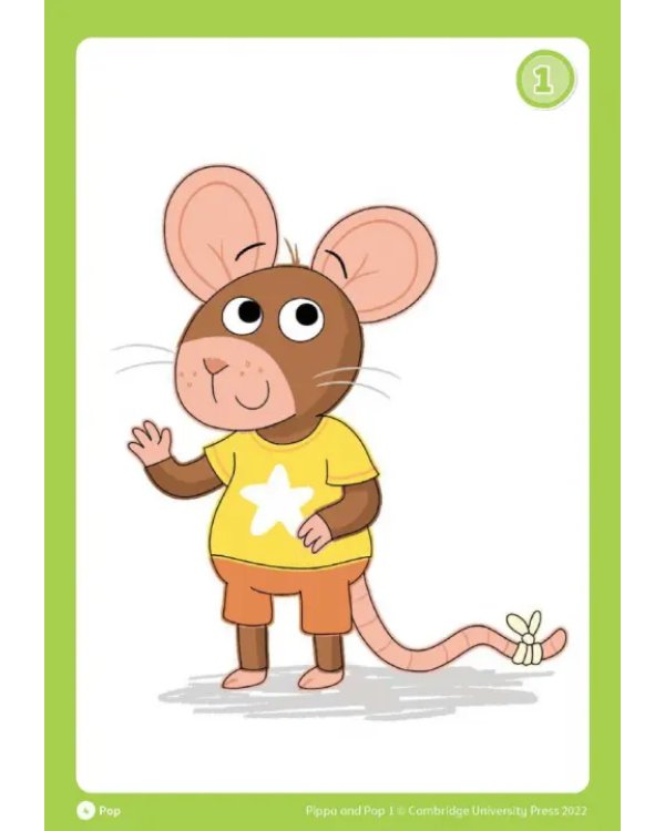 Pippa and Pop. Level 1. Flashcards