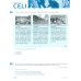 Preparazione al Celi 2 con Prova di Comprensione dell’Ascolto + CD