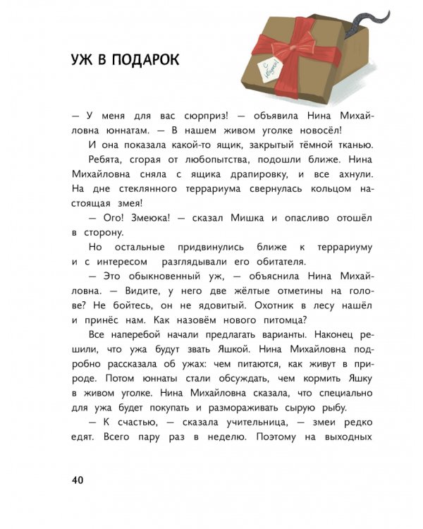 Пират в сиреневых тонах