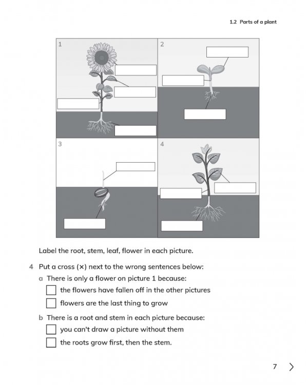 Дополнительное изображение книги «Cambridge Primary Science. Workbook 1 with Digital Access»