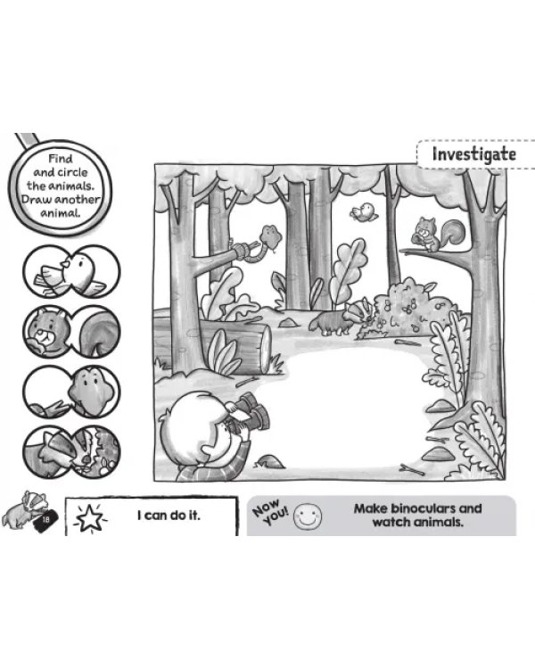 Greenman and the Magic Forest. 2nd Edition. Level B. Forest Fun. Activity Book