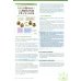 Clan 7 con ¡Hola, amigos! 3. Libro del profesor