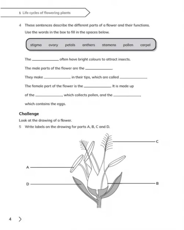 Дополнительное изображение книги «Cambridge Primary Science. 2nd Edition. Stage 5. Workbook with Digital Access»