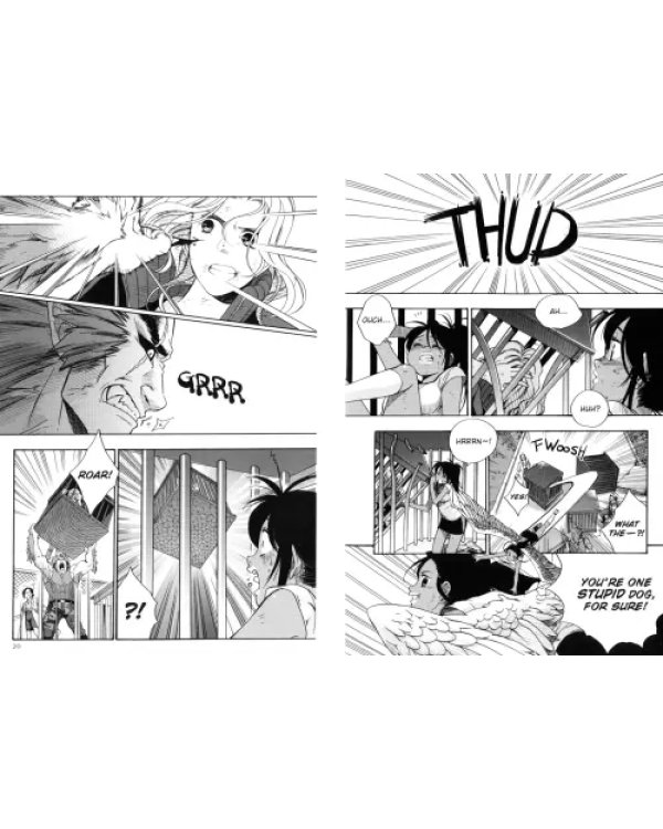 Maximum Ride. Volume 2