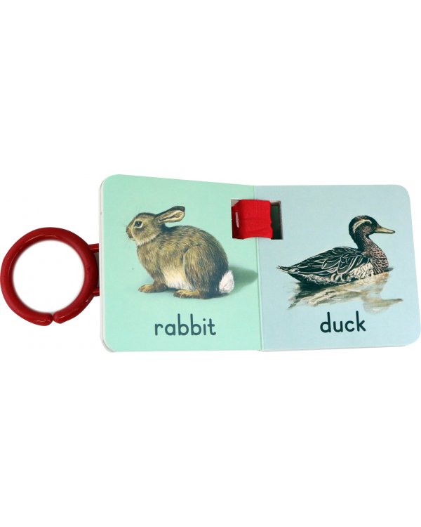 Animals. A Ladybird Buggy Book