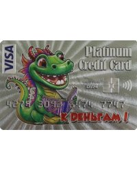 Магнит Символ Года 2024. Кредитка Platinum. Книга