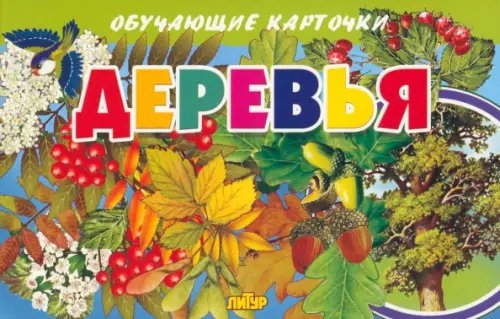 Обучающие карточки и плакаты Карточки. Деревья