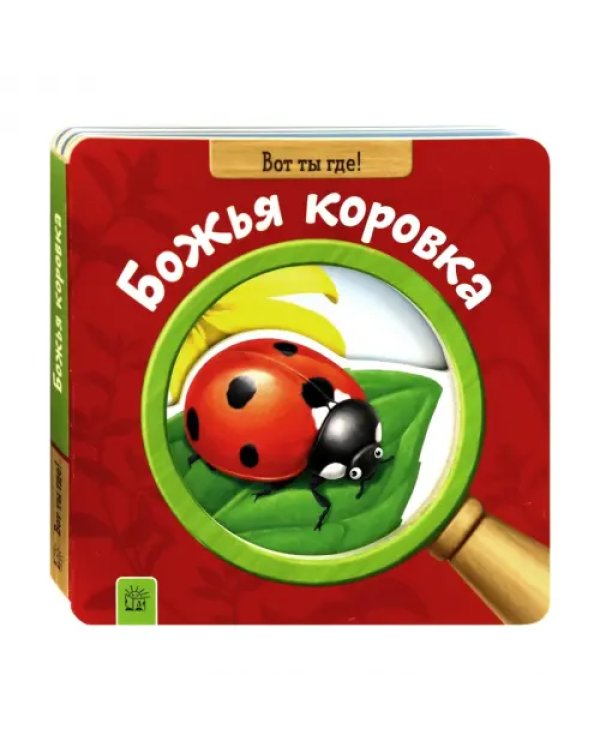 Вот ты где! Божья коровка