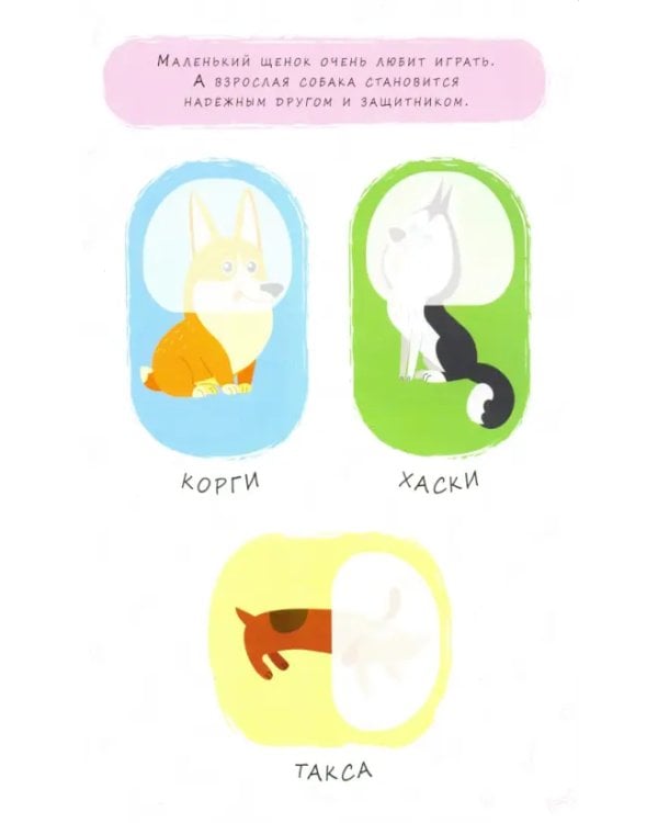 Домашние питомцы. Книжка с наклейками. 2+