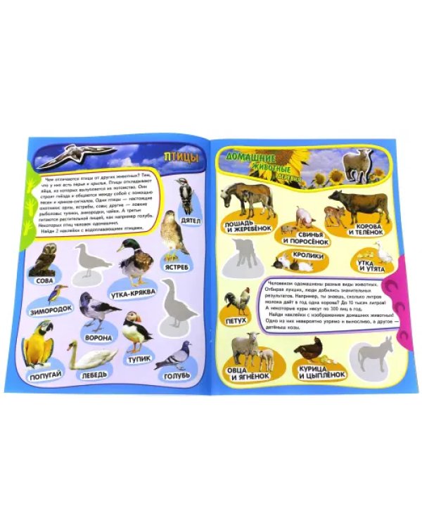 Учись, играя. 5-7 лет. Животные