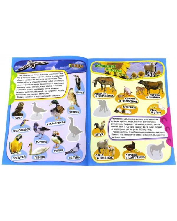 Учись, играя. 5-7 лет. Животные