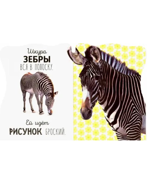 Погладь меня! Ушки и лапки. Дикие животные
