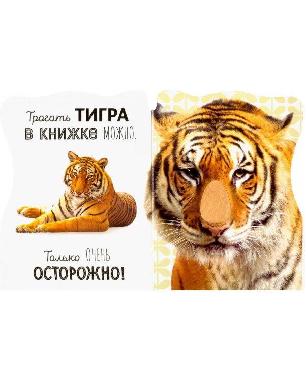 Погладь меня! Ушки и лапки. Дикие животные
