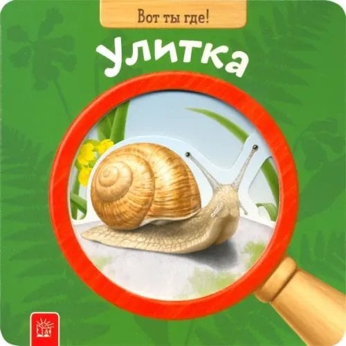Картонки Вот ты где! Улитка