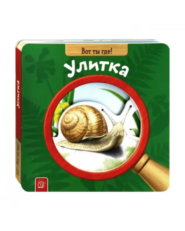 Вот ты где! Улитка