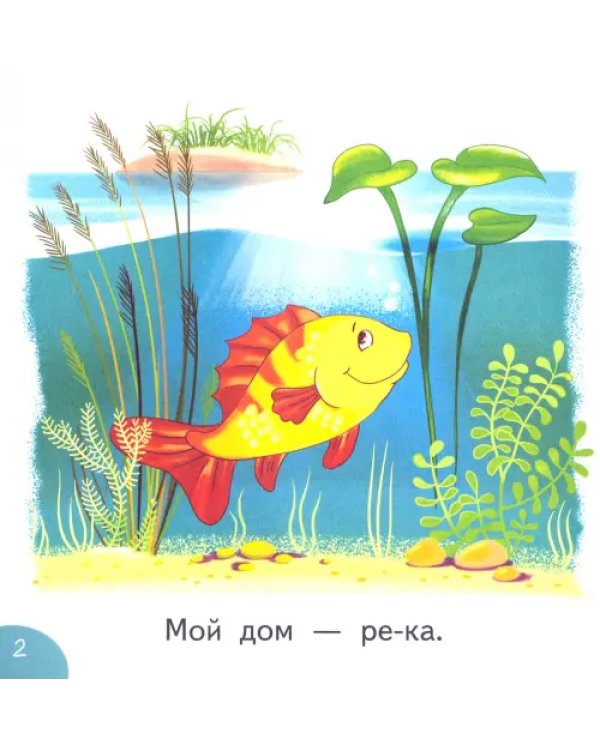 Мой дом