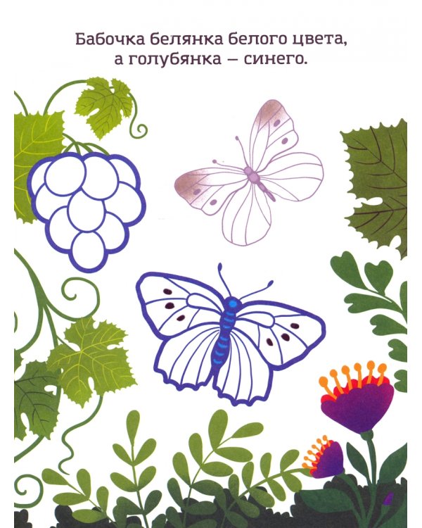 Синий, как кит. Раскраска. Учим цвета. 2+