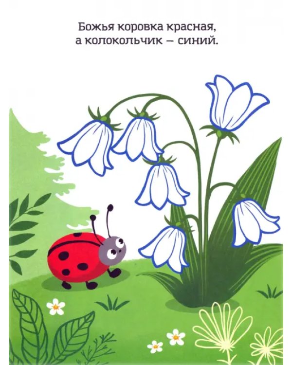 Синий, как кит. Раскраска. Учим цвета. 2+