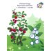 Синий, как кит. Раскраска. Учим цвета. 2+
