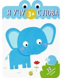 Я учу слова. 3+