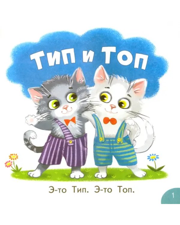 Тип и Топ