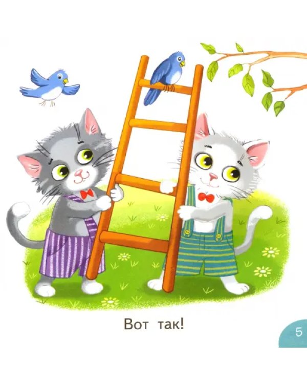 Тип и Топ