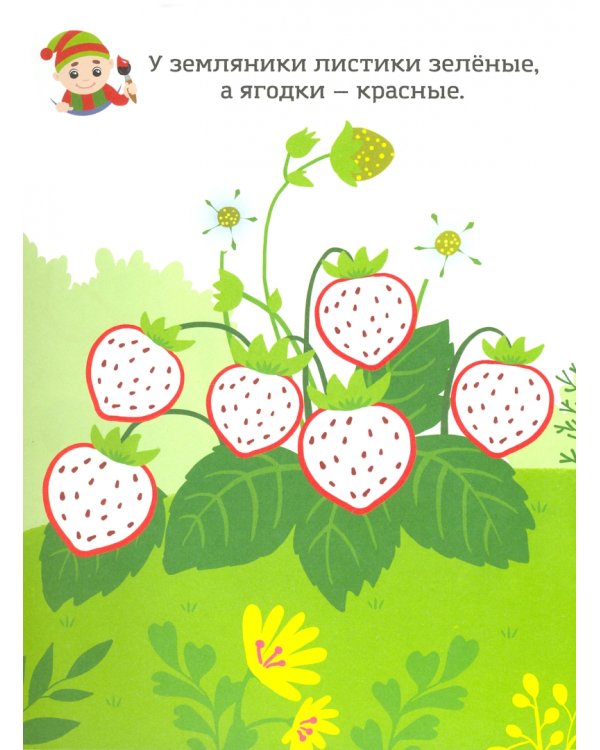 Красный, как ягодка. Раскраска. Учим цвета. 2+