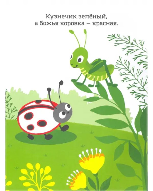 Красный, как ягодка. Раскраска. Учим цвета. 2+