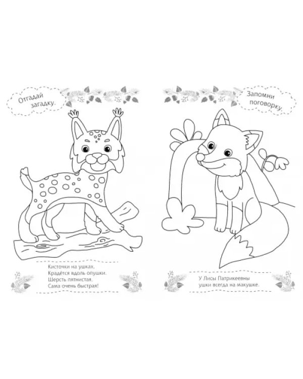 Мишутка-малютка. Раскраска. 3+