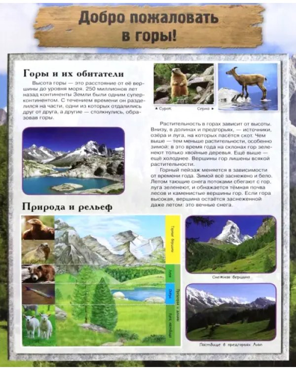 МегаZOOпанорама. Горы