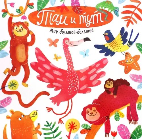 Картонки Мир большой-большой. Там и тут