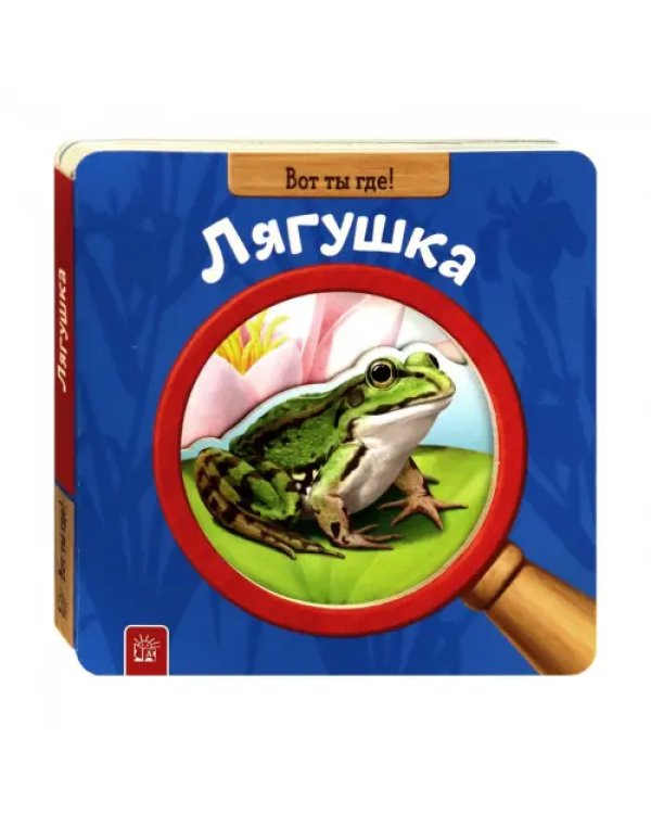 Вот ты где! Лягушка