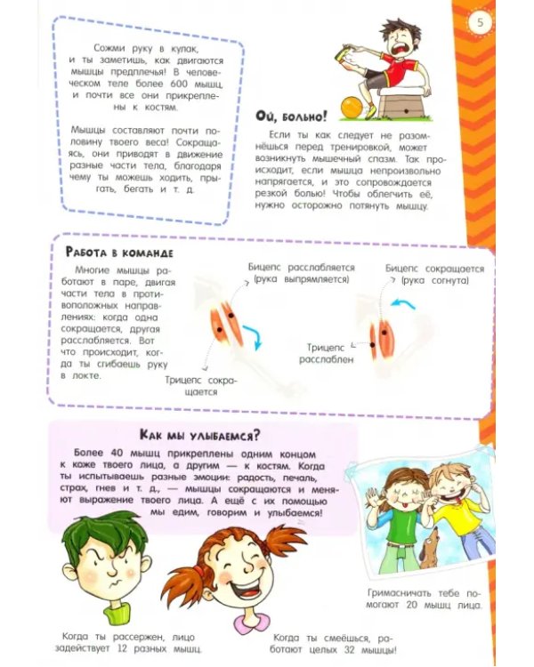 Мой атлас с наклейками. Тело человека
