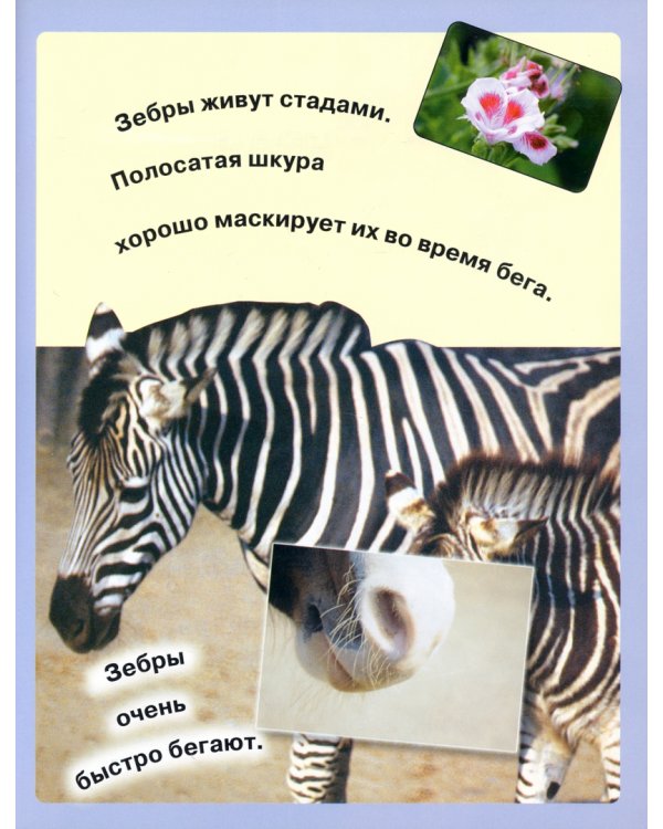 Читай, играй, наклеивай. Животные. Розовая