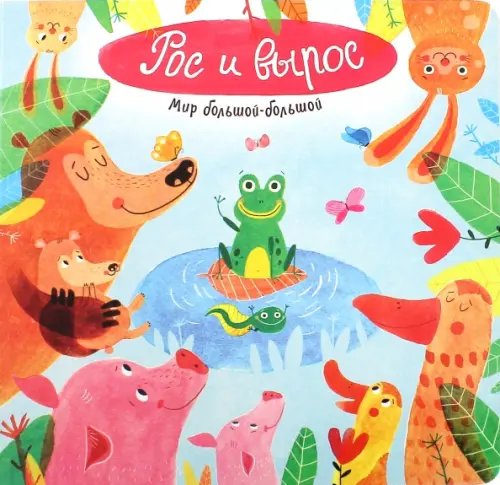 Картонки Мир большой-большой. Рос и вырос