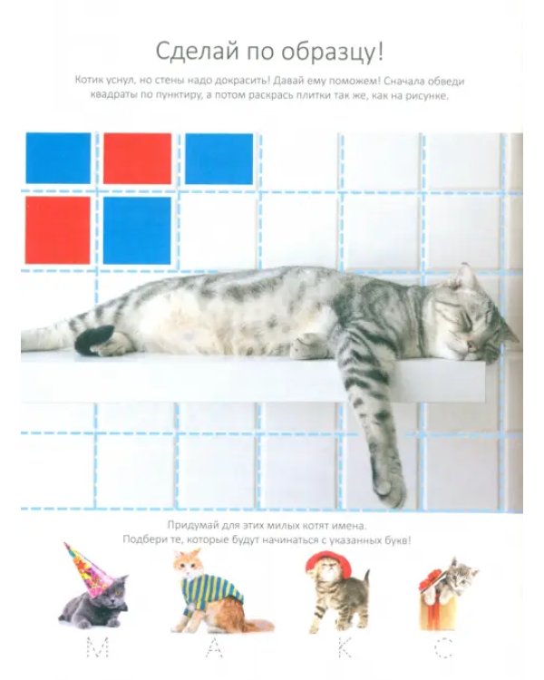 Котенок. Играем и учимся