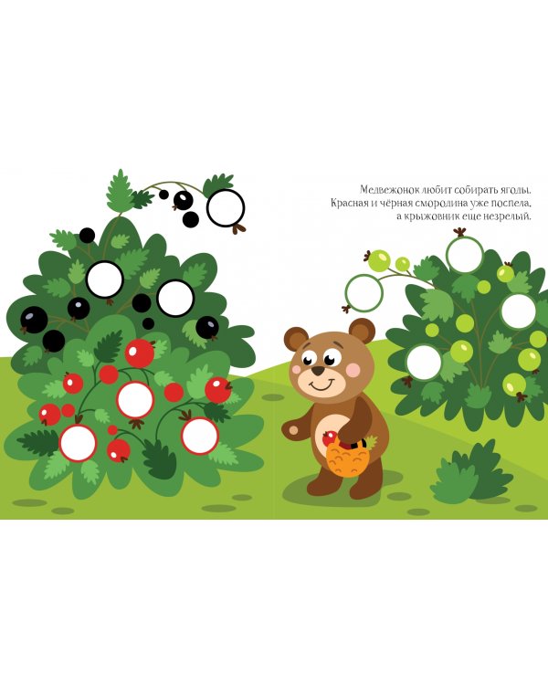 Мишка. Книга с наклейками. 1+
