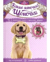 Какие лапочки! Щеночки