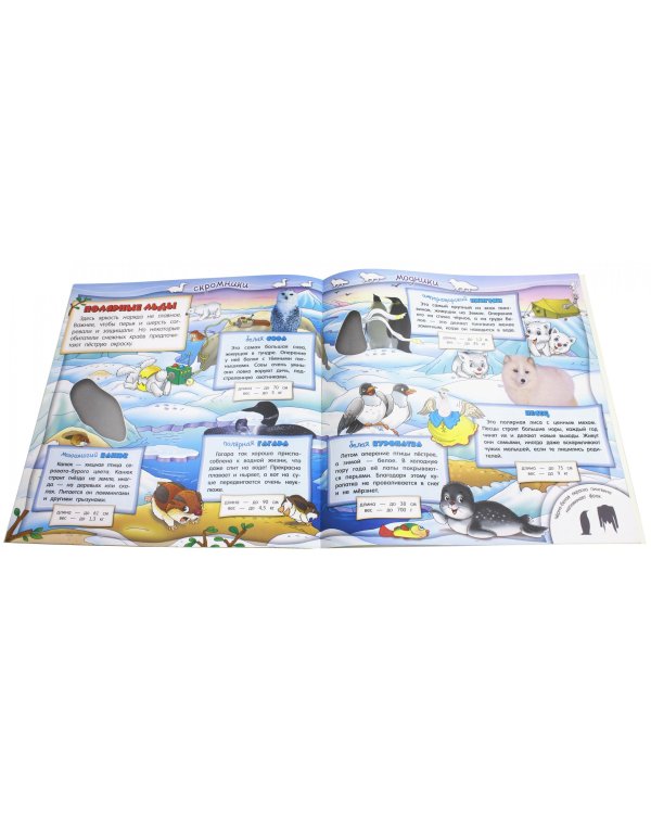 Самые-самые. Модники и скромники