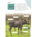 Смотри и учись. Жители леса