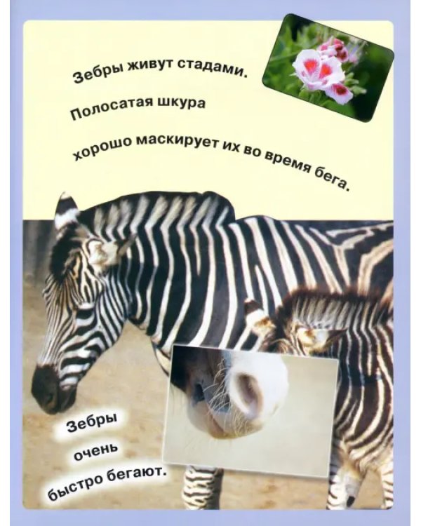 Читай, играй, наклеивай. Животные. Синяя