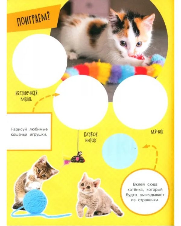 Зверята + наклейки. Котята
