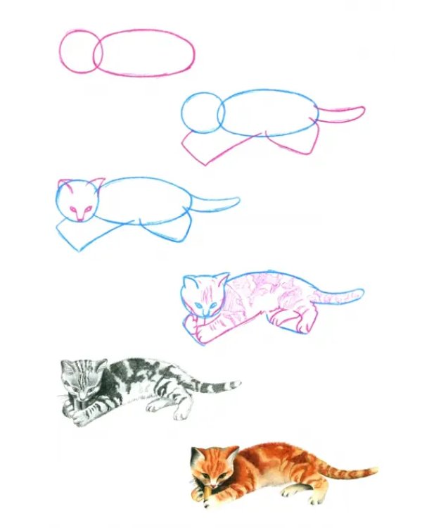Как нарисовать кошек? Просто!