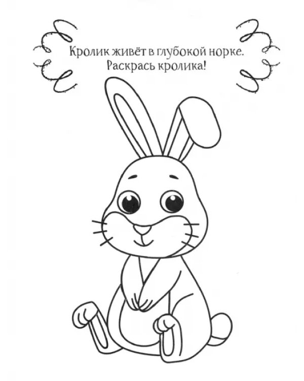 Кролик. Раскраска. 2+